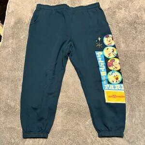 Walt Disney World Parks Sweat Pants Womens XL Graphic Teal Blue